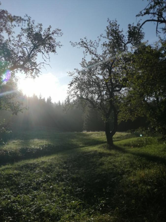 Buehlhaeusl Appartement Grünau im Almtal Buitenkant foto