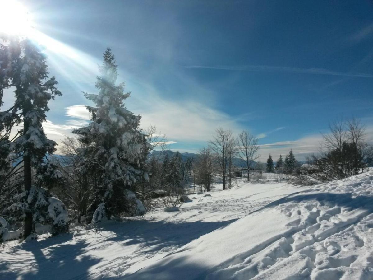 Buehlhaeusl Appartement Grünau im Almtal Buitenkant foto